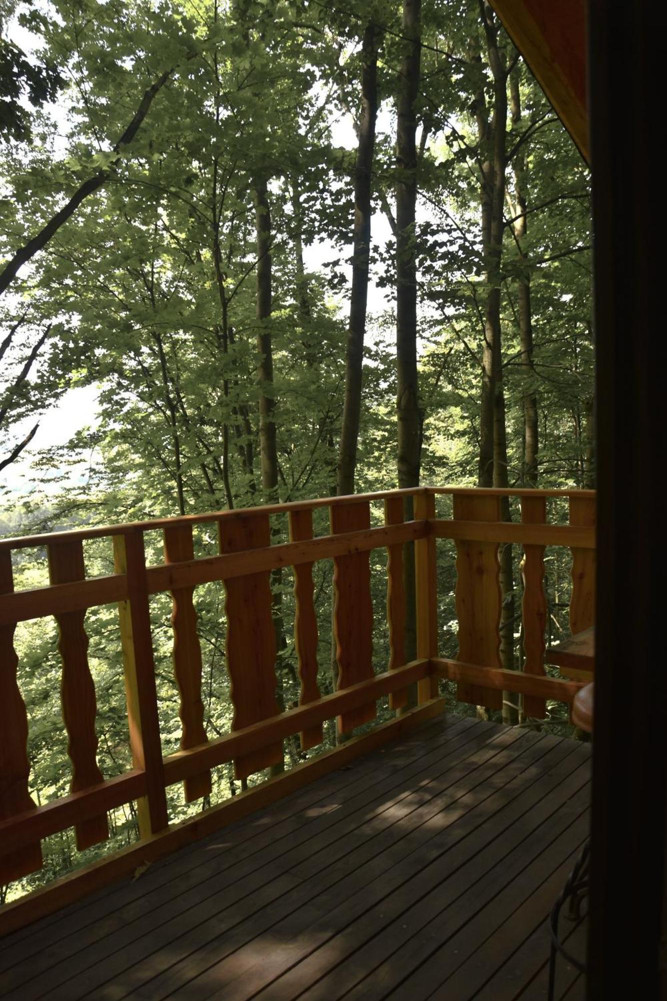 Treehouse Velké Losiny Buitenkant foto